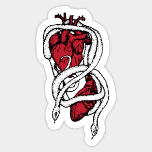 Black, White, and Red Snakes with Anatomical Hearts Sticker